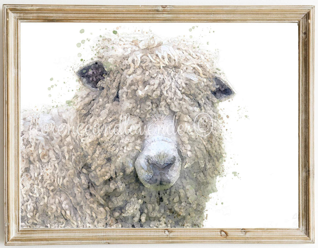 Home Decor - Leicester Longwool Sheep Print - DBC Boutique